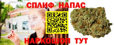 сатива Кумертау