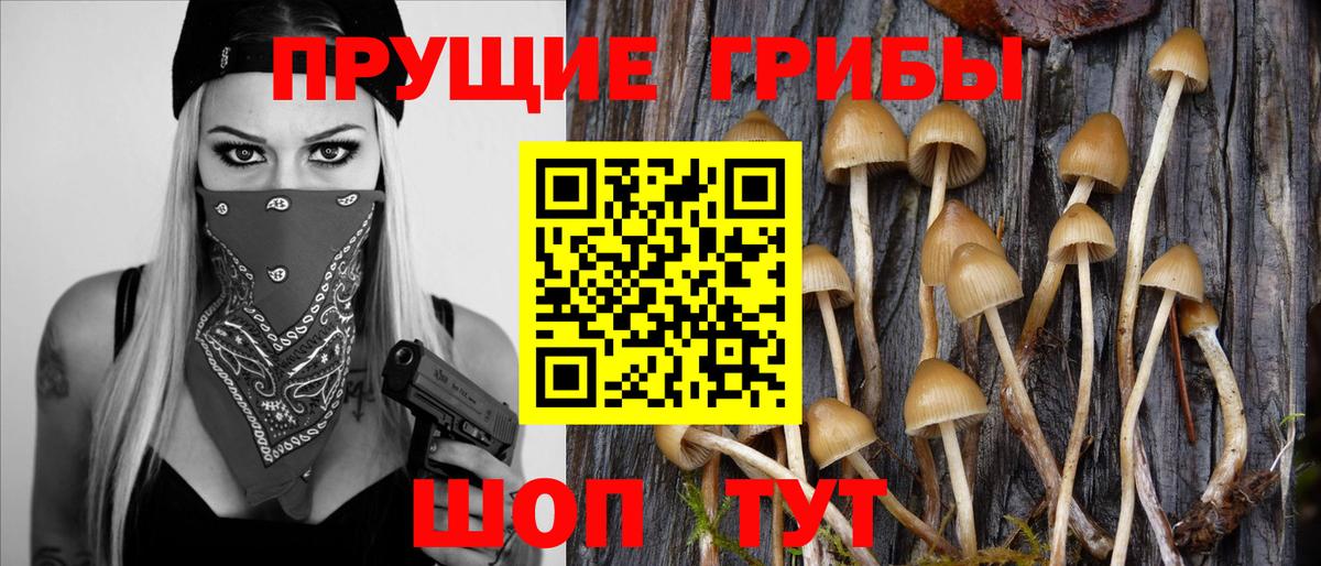 Галлюциногенные грибы мухоморы Якутск